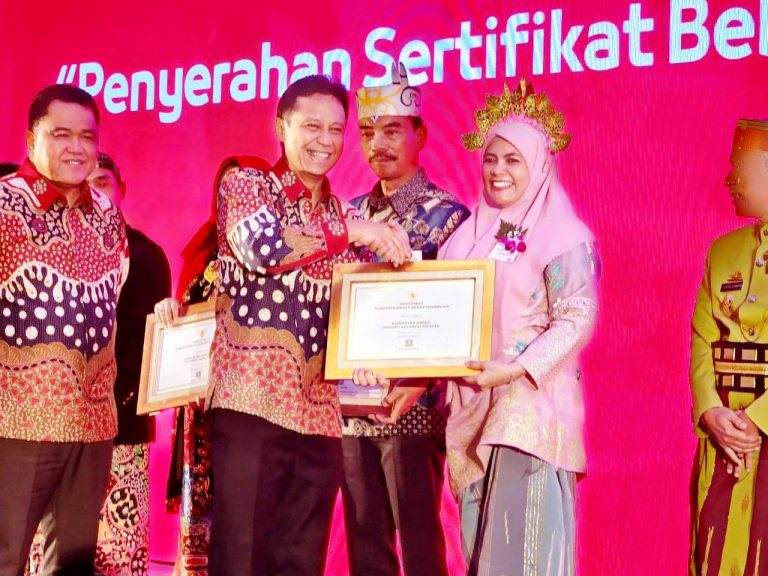 Wakil Bupati Maros Hj Suhartina Bohari, menerima Penghargaan Sertifikat Bebas Frambusia dari Kementerian Kesehatan Republik Indonesia (Kemenkes RI). (Dok.Ist)