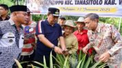 Manfaatkan Lahan Nganggur, Pj Gubernur Sulsel Salurkan Bibit Nangka dan Nanas