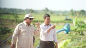 Presiden Prabowo Didampingi Mentan Amran Kunjungan Perdana ke Lahan Pertanian Merauke. (Ist)