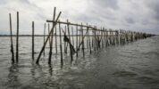 Pagar Laut di Laut Pantai Utara Tangerang