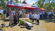 Bupati Maros Bersama Unsur Forkopimda Turut Serta Dalam Gerakan Tanam Padi Serentak Secara Virtual