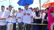 Bupati Maros, Chaidir Syam
