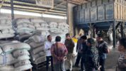 OJK Gelar Edukasi Keuangan bagi 150 Petani Kakao di Polman
