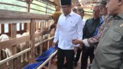 Kemendes Gandeng BNPT Berdayakan Ekonomi Wujudkan Desa Siapsiaga